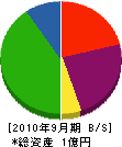 平成電工 貸借対照表 2010年9月期