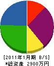 伸榮 貸借対照表 2011年1月期