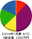 蛭田電機商会 貸借対照表 2010年7月期
