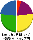 三栄工業 貸借対照表 2010年3月期