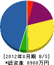 山陽スポーツ店 貸借対照表 2012年8月期