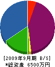 金子電設 貸借対照表 2009年9月期