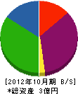 ゾイシアンジャパン 貸借対照表 2012年10月期