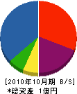 タセイ 貸借対照表 2010年10月期
