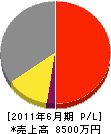 岩崎電機 損益計算書 2011年6月期