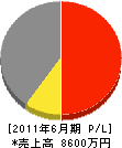 小沢興業 損益計算書 2011年6月期