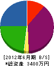 塩田塗装店 貸借対照表 2012年6月期