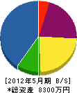 佐々木電機 貸借対照表 2012年5月期