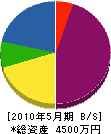 斉藤造園 貸借対照表 2010年5月期