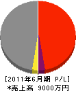 斎藤舗道 損益計算書 2011年6月期