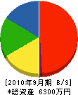 戸田組 貸借対照表 2010年9月期