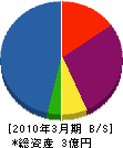 堀田トーヨー住器 貸借対照表 2010年3月期