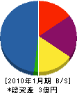 塚田工業 貸借対照表 2010年1月期