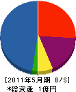 峡東建設 貸借対照表 2011年5月期