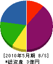 松柳園 貸借対照表 2010年5月期