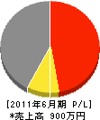 宇田川電機 損益計算書 2011年6月期
