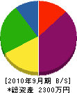 宇佐美工業 貸借対照表 2010年9月期