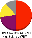 川村塗装店 損益計算書 2010年12月期