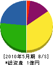 枝川建設 貸借対照表 2010年5月期