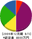 扇塗装 貸借対照表 2009年12月期