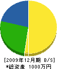 藤関造園 貸借対照表 2009年12月期