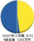 松尾水道 貸借対照表 2007年12月期