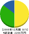 東原組 貸借対照表 2008年12月期