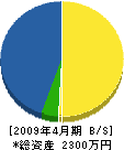 田中建設 貸借対照表 2009年4月期