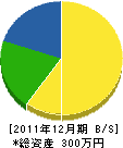 西山設備工業所 貸借対照表 2011年12月期 西山設備工業所 貸借対照表 2011年12月期