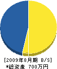 片桐電設工業 貸借対照表 2009年8月期