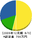 石澤塗工店 貸借対照表 2009年12月期