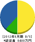 川添組 貸借対照表 2012年6月期