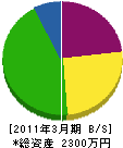 松元建設 貸借対照表 2011年3月期