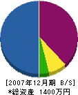 岡崎産業 貸借対照表 2007年12月期