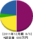 丸山住建 貸借対照表 2011年12月期 丸山住建 貸借対照表 2011年12月期