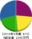 西日本技工 貸借対照表 2010年3月期