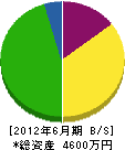 岩井土建 貸借対照表 2012年6月期