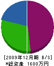 ヤマギワ工建 貸借対照表 2009年12月期