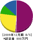 松緑園 貸借対照表 2009年12月期
