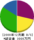 シンエイ塗装 貸借対照表 2008年12月期