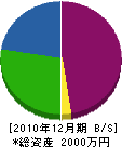 西村建設 貸借対照表 2010年12月期
