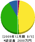 竹本塗装 貸借対照表 2009年12月期