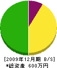 唐田板金 貸借対照表 2009年12月期