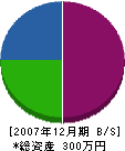 村坂電気工事店 貸借対照表 2007年12月期
