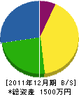 大沢造園 貸借対照表 2011年12月期