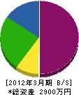 芦田電気商会 貸借対照表 2012年3月期