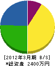 広野緑地 貸借対照表 2012年3月期