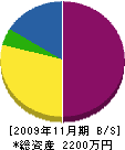 大阪防水工業 貸借対照表 2009年11月期