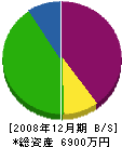 岩本産業 貸借対照表 2008年12月期