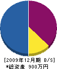澤田工務店 貸借対照表 2009年12月期